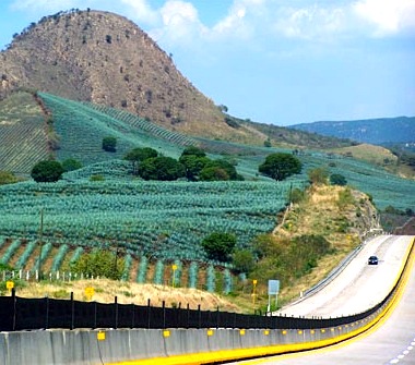 Landscapes of Agaves and Ancient Industrial Facilities of Tequila