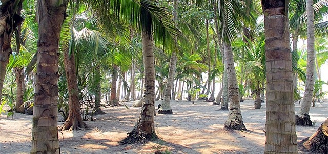 Isla Lobos, Tuxpam