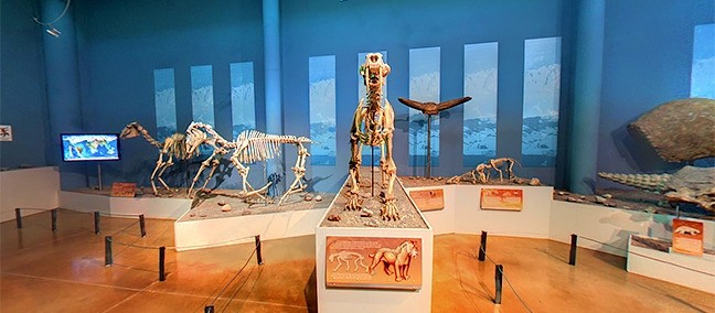 Museo del Desierto Chihuahuense, Ciudad Delicias