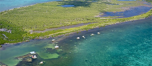 Banco Chinchorro (Coral Barrier Reef)