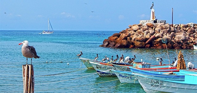 Playa El Anclote, Punta de Mita