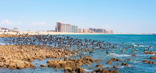 Playa las Conchas, Mirador, Sandy Beach y la Choya, Puerto Peñasco ( Rocky Point )