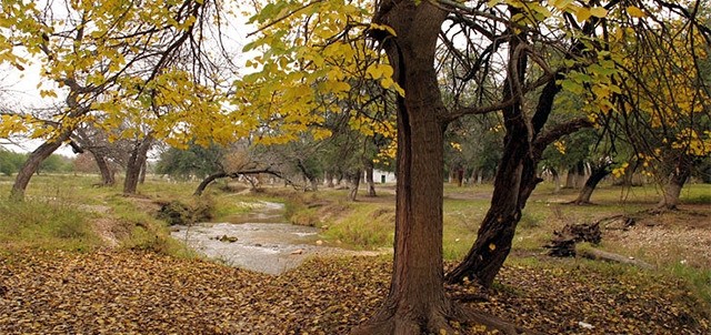 Parque Nacional Los Novillos, Ciudad Acuña