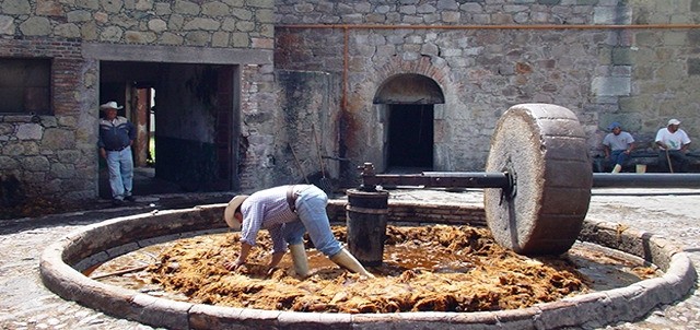 Mezcales de Calidad Don Aurelio Lamas, Teúl