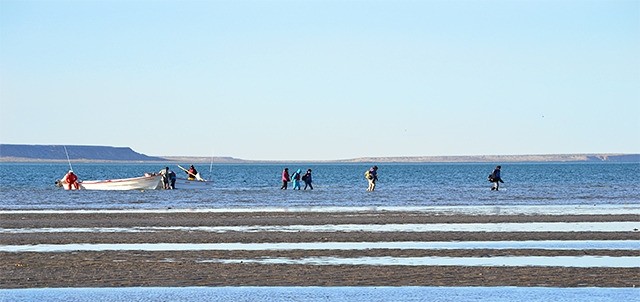 Laguna de San Ignacio, San Ignacio