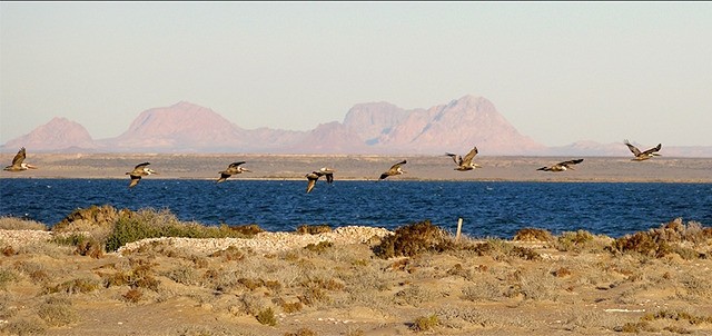 Laguna de San Ignacio, San Ignacio