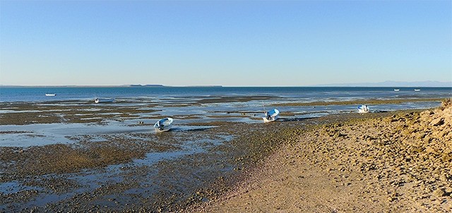 Laguna de San Ignacio, San Ignacio