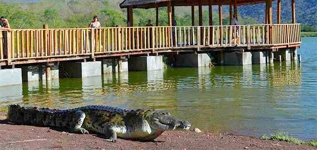 Cocodrilario, Tecomán