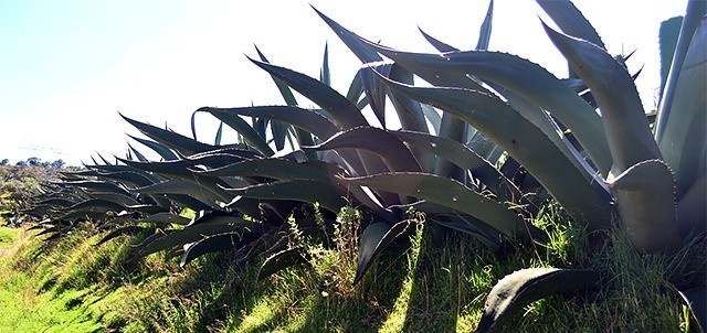 Hacienda Xochuca, Tlaxco