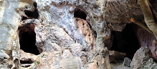 Cueva del Arroyo, Capulalpam