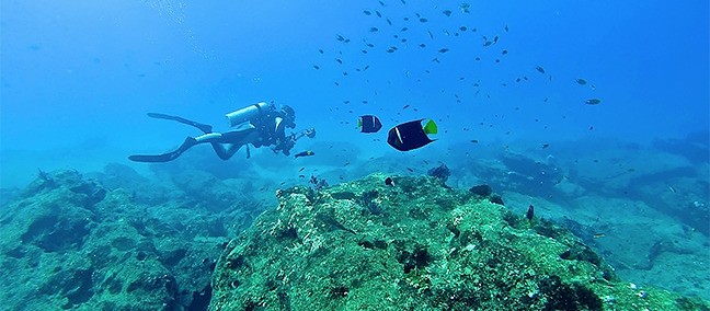 Parque Nacional Cabo Pulmo, Cabo Pulmo