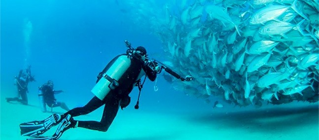 Tour de Buceo y Snorkel, Cabo Pulmo