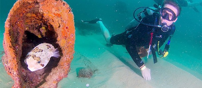 Tour de Buceo y Snorkel, Cabo Pulmo