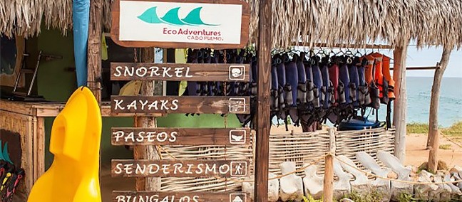 Tour de Buceo y Snorkel, Cabo Pulmo