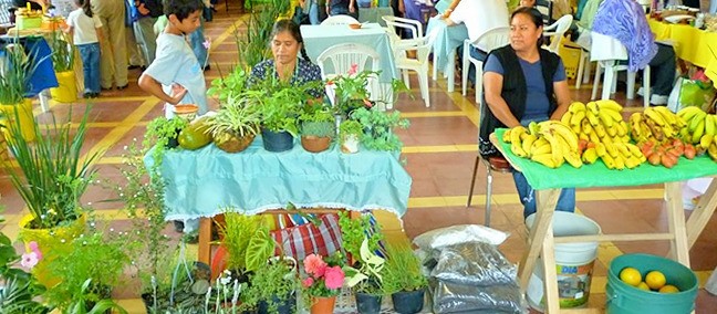 Mercado Coatl Bio-regional, Coatepec
