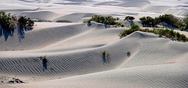 Dunas de la Soledad, Guerrero Negro