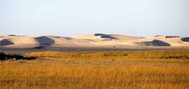 Dunas de la Soledad, Guerrero Negro