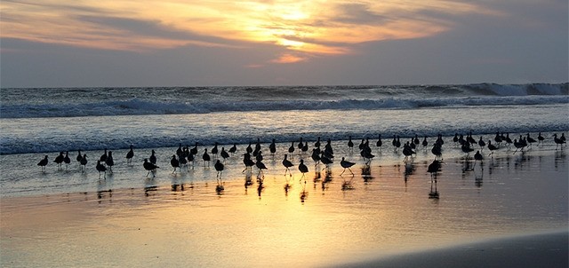 Playa Azul, Lázaro Cárdenas