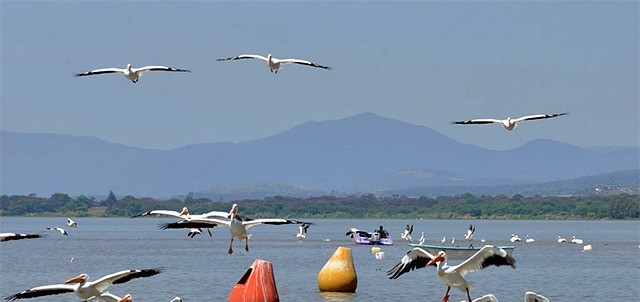 Laguna de Yuriria, Yuriria