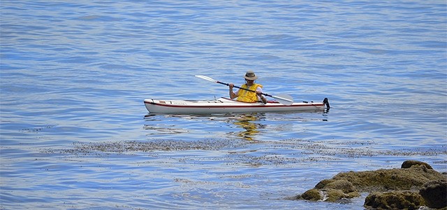 Tours en Kayak, Loreto