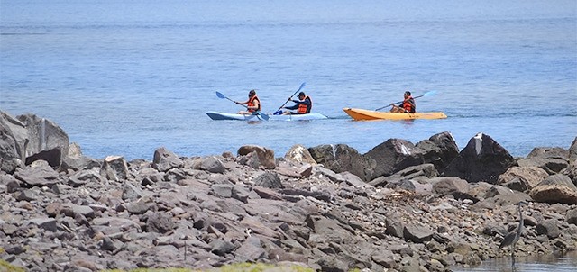 Tours en Kayak, Loreto