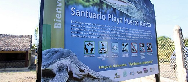 Campamento Tortuguero, Puerto Arista