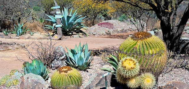 Jardín Botánico El Charco del Ingenio, San Miguel de Allende