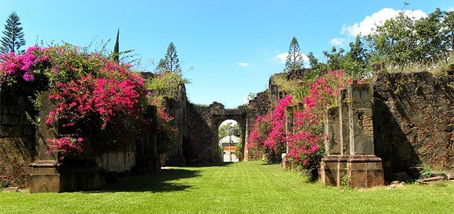 Templo Inconcluso de la Preciosa Sangre, Mascota