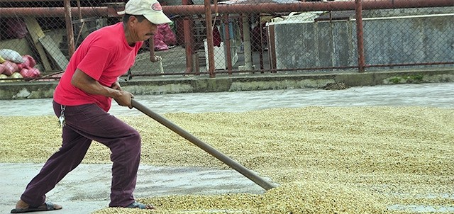 Tour a la Ruta del Café, Tapachula