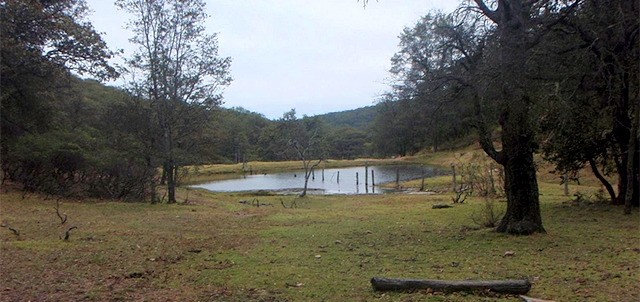 Sierra de Lobos, León