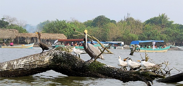 Tecolutla, Costa Esmeralda