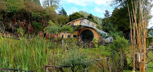 Orquídeas Moxviquil, San Cristóbal de las Casas