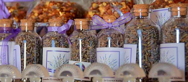 Rancho de la Lavanda, Mineral de Pozos