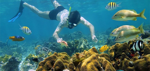 Buceo en Akumal, Akumal