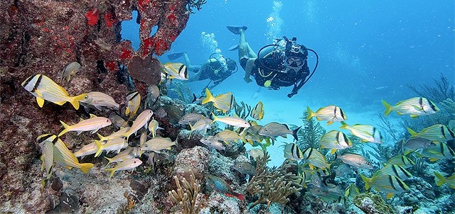 Buceo en Akumal, Akumal