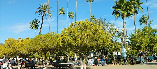 Plaza de Armas, Álamos