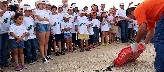 Liberación de Tortugas, La Pesca