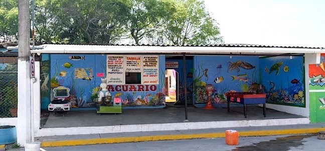 Acuario Tecolutla, Tecolutla