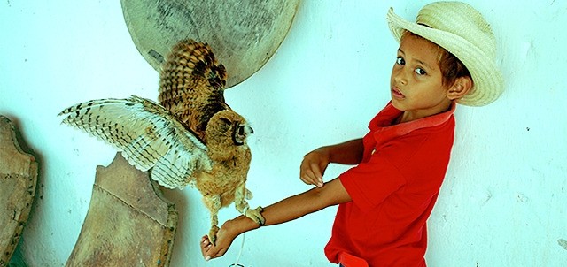 Mini Zoológico / Museo, Tlacotalpan