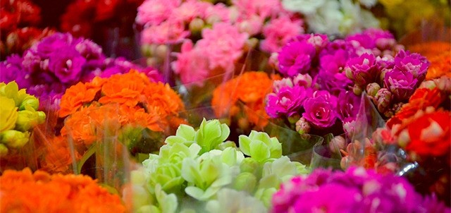 Parque de Floricultura, Fortín de las Flores