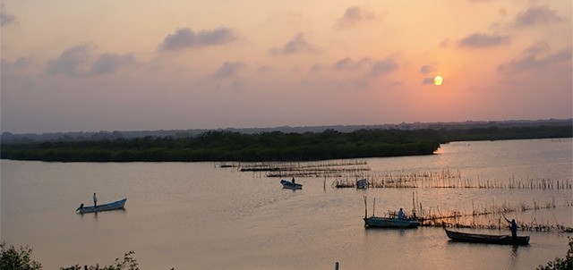 Laguna de Tamiahua, Tamiahua