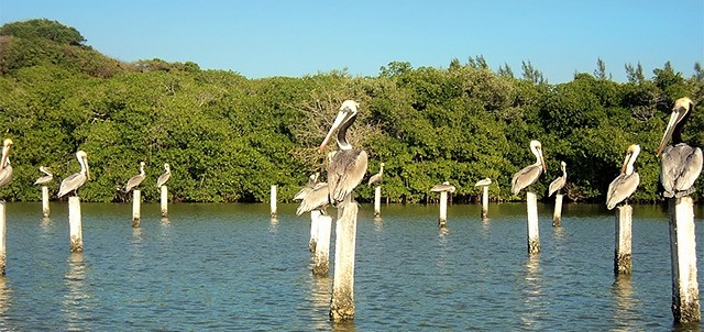 La Riviera, Tampico El Alto