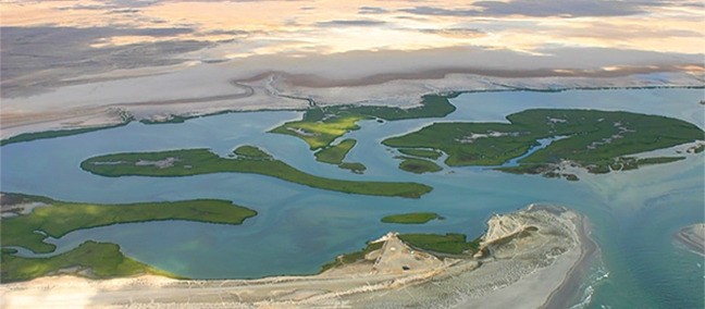 Reserva de la Biosfera El Vizcaíno, Vizcaíno