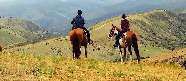 Paseo a Caballo, Rosarito