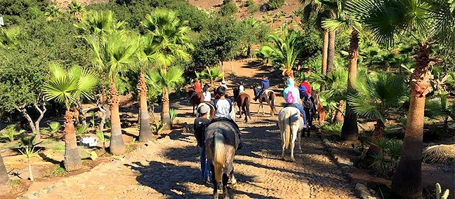 Paseo a Caballo, Rosarito