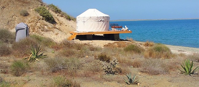 Avistamiento de Ballenas, Puerto San Carlos