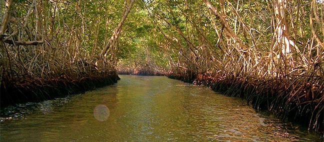 Reserva de la Biosfera Montes Azules, Montes Azules