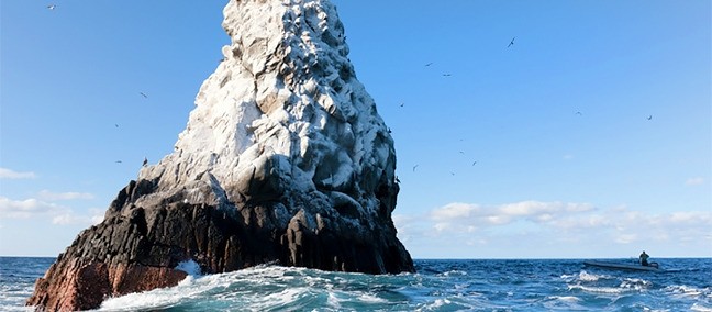 Reserva de la Biosfera Archipiélago de Revillagigedo, Los Cabos