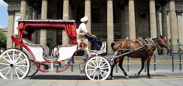 Paseo en Calandria, Guadalajara