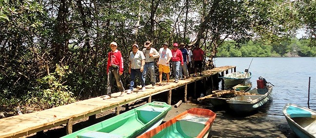 La Ceiba de Manguito, Tonalá